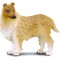 Collie cu par sarmos L Collecta