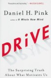 Drive: The Surprising Truth about What Motivates Us