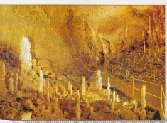 bnk cp Muntii Apuseni - Pestera Ursilor ( Jud Bihor ) - necirculata