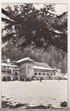 bnk cp Poiana Brasov - Hotel Sport - uzata