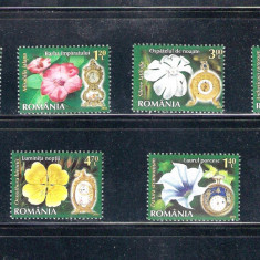 ROMANIA 2013 - CEASUL FLORILOR (II), UZUALE, MNH - LP 1983