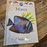 Prima mea enciclopedie. Marea