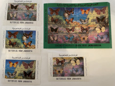 Libia Libya animale fluturi timbre nestampilate MNH foto