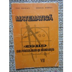 Ioan Pelteacu - Matematica - Ghid de probleme si exercitii VII