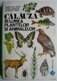 Calauza in lumea plantelor si animalelor - Constantin Parvu, Stoica Godeanu