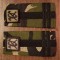 C3 - Grade militare - mozaic padure - locotenent colonel auto