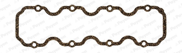 PAYEN JN693 Garnitura, capac supape