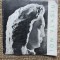 Ion Vlasiu: catalog de expoziție Sala Dalles, martie 1967
