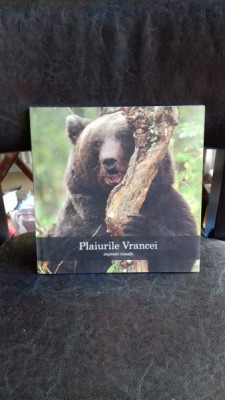 PLAIURILE VRANCEI. IMPRESII VIZUALE foto