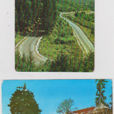 LOT 1 CARTI POSTALE BORSEC/TRANSILVANIA