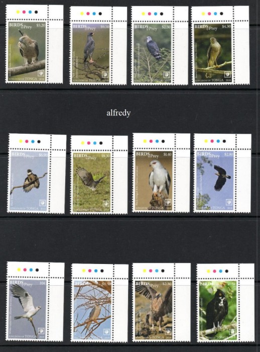 Tonga 2018, Fauna, Pasari, serie neuzata, MNH