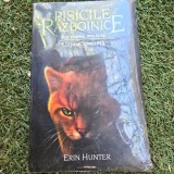 Pisicile razboinice. Sub semnul stelelor. Ultima speranta - Erin Hunter