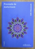 Procesele de maturizare D.W. Winnicott