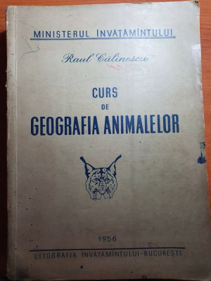 curs de geografia animalelor 1956 foto