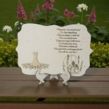 DecoArtBurlui baza licheni nasa