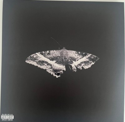 Kendrick Lamar To Pimp A Butterfly 10th Anniversry Ed. LP (2vinyl) foto