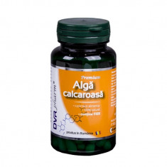 Alga Calcaroasa 60cps DVR Pharma