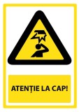 Indicator pentru cap