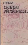 I. Peltz - Calea Vacaresti
