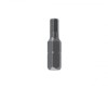 Bit imbus profesional Topmaster 10x75mm HEX10, prindere hexagonala