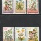 Romania 1993 - #1310 Plante Medicinale 6v MNH