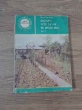 CULTURA VITEI DE VIE PE SPATII MICI VOL.2 PARTE SPECIALA-SARGHI TRANDAFIR-263102