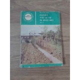 CULTURA VITEI DE VIE PE SPATII MICI VOL.2 PARTE SPECIALA-SARGHI TRANDAFIR-263102
