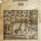 URS LA MARGINEA PĂDURII, gravură din epoca Renașterii, anul 1579