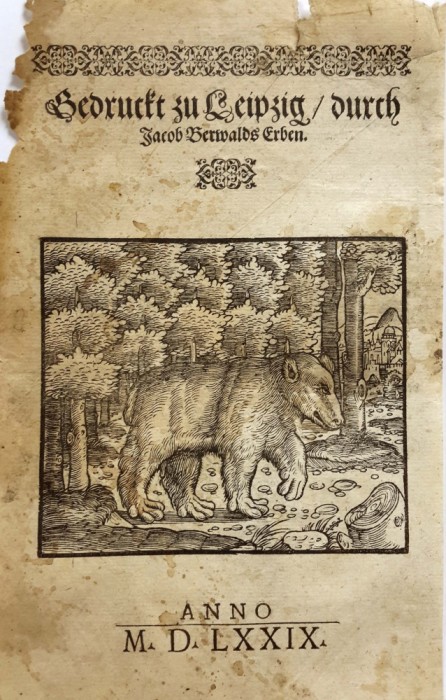 URS LA MARGINEA PĂDURII, gravură din epoca Renașterii, anul 1579