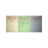 I. Moraru - Anatomie patologica, 3 vol. (Editia: 1980)