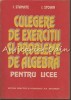Culegere Exercitii si Probleme Algebra - I. Stamate, I. Stoian, Ed. Didactica si Pedagogica, 1994, 346 pagini