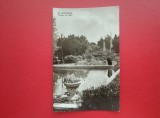 CARTE POSTALA - RPR - SF. GHORGHE - VEDERE DIN PARC
