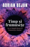 Cumpara ieftin Timp si frumusete. De ce timpul zboara si frumusetea ramane/Adrian Bejan