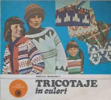 Tricotaje in Culori - Emilia Moisescu, 1984, Ceres, Carte Hobby, Tricotat, Crosetat