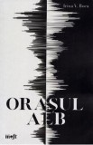 Orasul Alb - Irina V. Boca