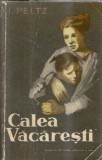 Calea Vacaresti - Isac Peltz