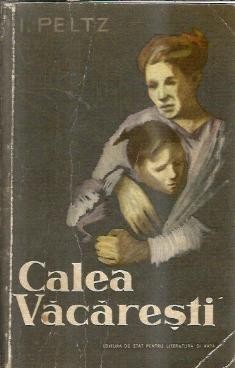 Calea Vacaresti - Isac Peltz foto