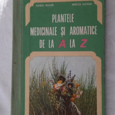 PLANTE MEDICINALE SI AROMATICE DE LA A LA Z / BOJOR /ALEXAN