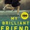 My Brilliant Friend