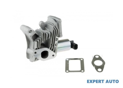 Supapa recirculare gaze Renault Megane II (2002-2011)[BM0/1_,CM0/1_] #1 foto