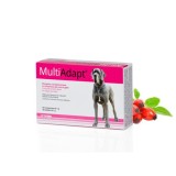 Cumpara ieftin DOGOTEKA DOGO MULTI ADAPT 60 tablete, caini si pisici