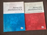COSTEL CHITES RADU MICULESCU ANALIZA MATEMATICA NOTE DE CURS+CULEGERE DE PROBLEME