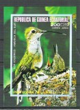 Eq. Guinea 1974 Birds of South America, imperf. sheet, used M.019, Stampilat