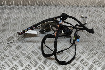 Cablaj ușă dreapta față BMW X2 F39 2020 OEM: 8795802 | 29038194 foto