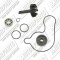 Kit pompa apa Yamaha CZD 300 A X-Max ABS (17-23) - MWD 300 Tricity ABS (20-23) - VP 300 Versity (02-04) 4T LC 300cc