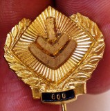 I.973 INSIGNA STICKPIN GERMANIA SPORT IVV Internationaler Volkssportverband, Europa