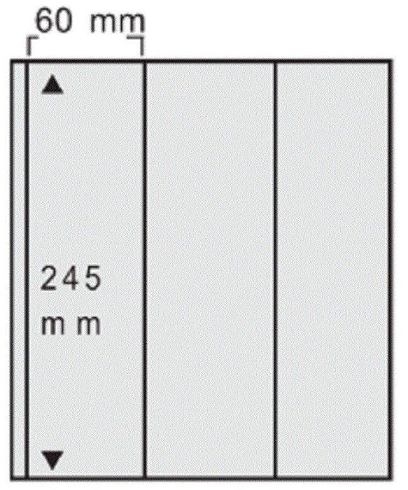 5 folii transparente, Variant, cu 3 buzunare verticale de 245 x 60 mm