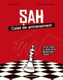 Cumpara ieftin Sah. Caiet de antrenament. 300 de exercitii si jocuri pentru imbunatatirea tacticii/Kevin Bordi, Fabien Libiszewski