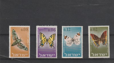 Fluturi ,Israel. foto