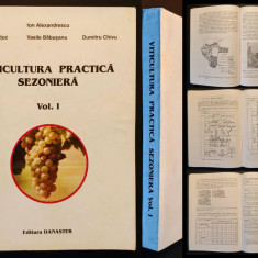 rara VITICULTURA PRACTICA SEZONIERA Intretinerea Plantatiilor Vita de Vie pe Rod